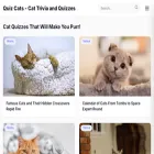 quizcats.com