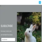 rabbitscout.com