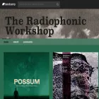 radiophonicworkshop.bandcamp.com