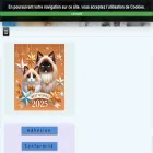ragdoll.asso.fr