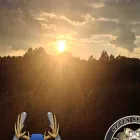 rattlesnakesaloon.net