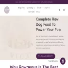 rawgeouspetfood.com