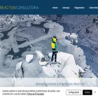 reactionconsultoria.com.br