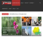 realitateadealba.net