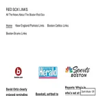 redsoxlinks.com