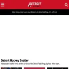 redwingsinsider.com