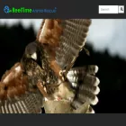 reeltimeanimalrescue.com