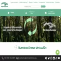 reforestamosmexico.org