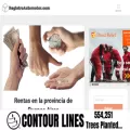 registrosautomotor.com