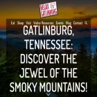 relaxgatlinburg.com