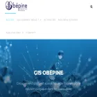 reseau-obepine.fr