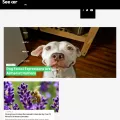 revision3.com