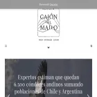 revistacajondelmaipo.cl