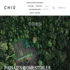 revistachiu.com