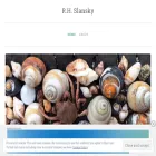 rhslansky.com