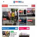 riausindo.com