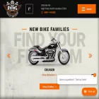 ridinghighharleydavidson.com