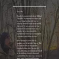 robinetoutfitters.com