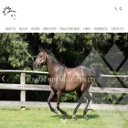 rockcreekhorsecenter.com
