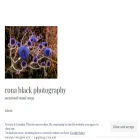 ronablackphotography.com