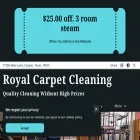 royalcarpetcleaningcanyon.us