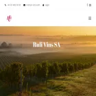 ruli-vins.com