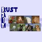 rust-rain.ch
