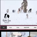 rusticlaceminiaussies.com