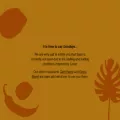 saan.co.nz