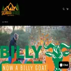 sacandagaoutdoor.com