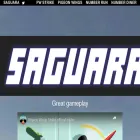 saguara.com
