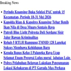 saibernews.com