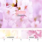 sakura-gozen.com
