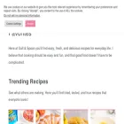 saltandspoon.co