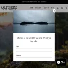 saltspringcandles.com