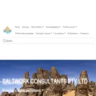 saltworkconsultants.com