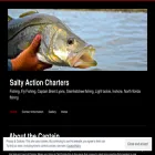 saltyaction.com