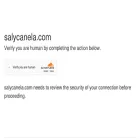 salycanela.com