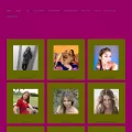 salzburgdating.sweb.cz