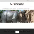 samuraitradingacademy.com
