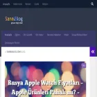 sanalblog.com