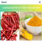 sanovioverseas.com
