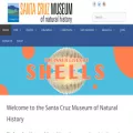 santacruzmuseum.org