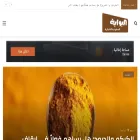 saudigatenews.com