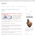savassakar.com