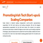 scaleireland.com