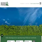 scenicpines.com