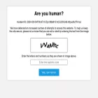 scootersplus.rentals