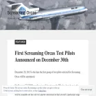 screamingorcas.com