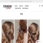 scrunchie-is-back.com